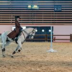2022-10 - Equita Lyon - Working Equitation - 012 - Pauline Penicot
